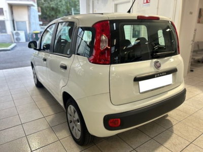Fiat Panda 1.2 Easy (4)