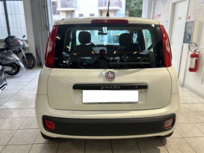 Fiat Panda 1.2 Easy (5)