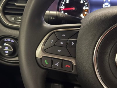 Jeep Renegade 1.6 Mjt 130 CV Limited (11)