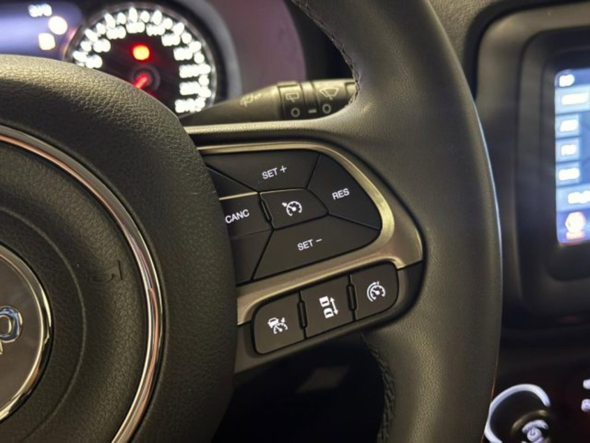 Jeep Renegade 1.6 Mjt 130 CV Limited (12)