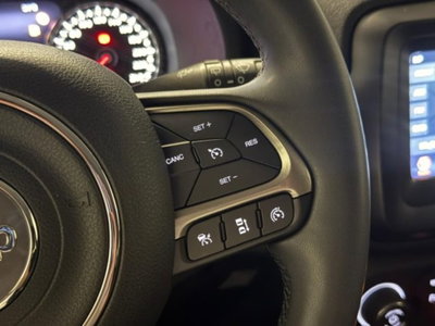Jeep Renegade 1.6 Mjt 130 CV Limited (12)