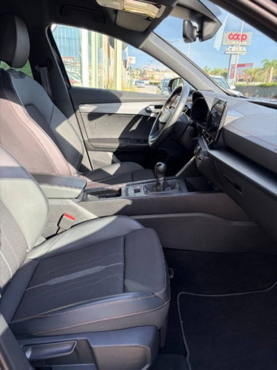 Cupra Formentor Formentor 2.0 TDI (16)