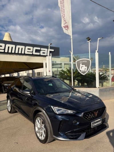 Cupra Formentor Formentor 2.0 TDI (2)