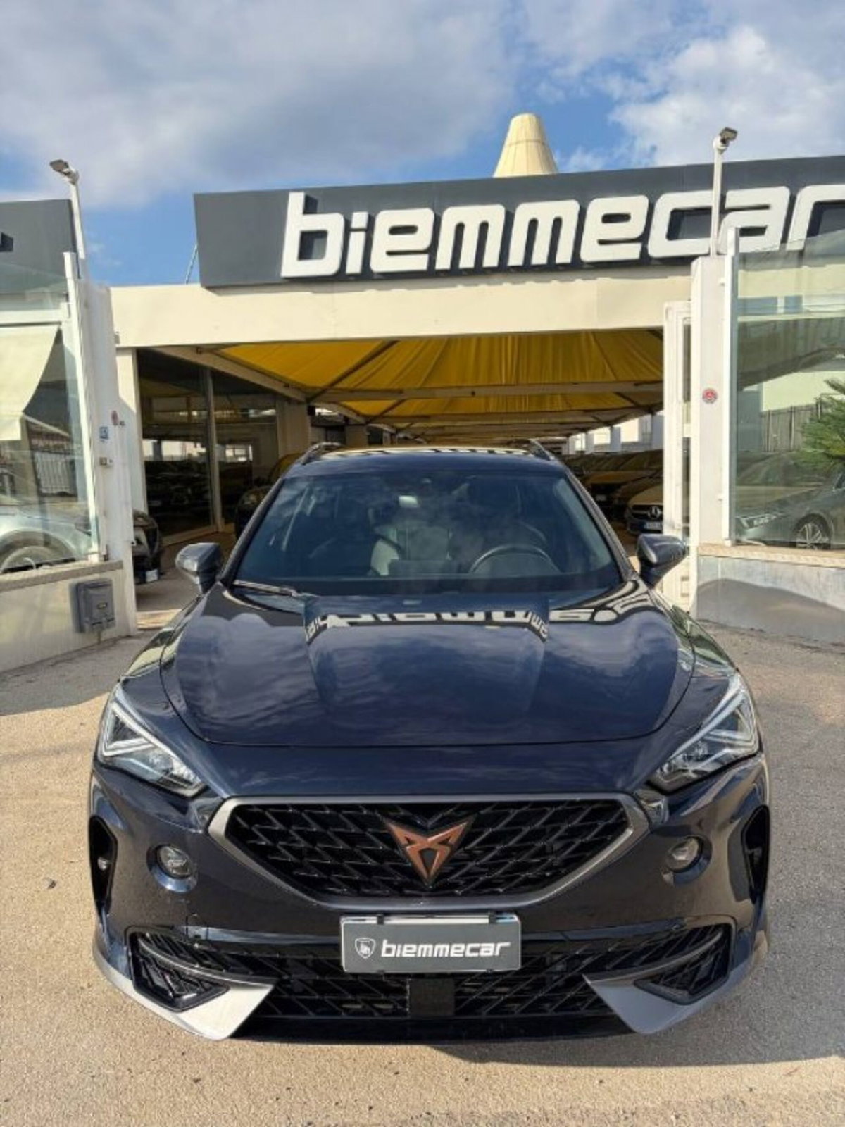 Cupra Formentor Formentor 2.0 TDI (3)