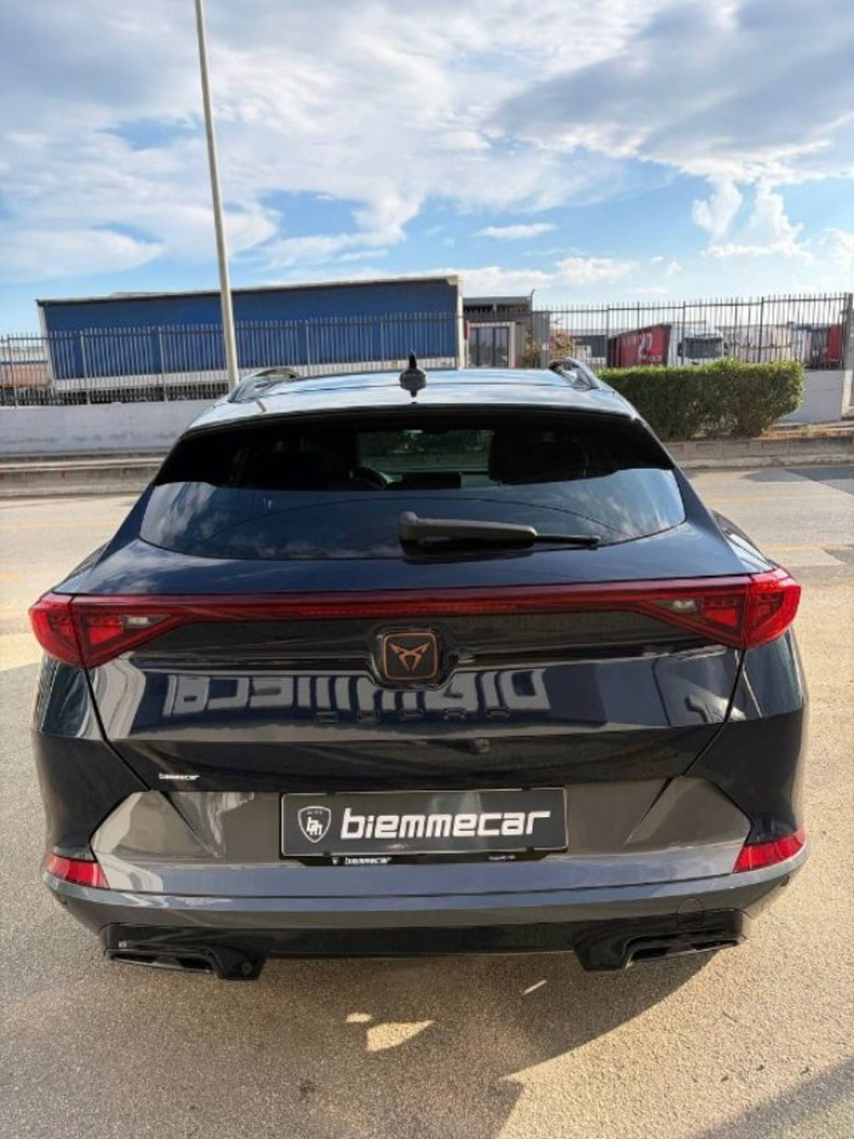 Cupra Formentor Formentor 2.0 TDI (7)