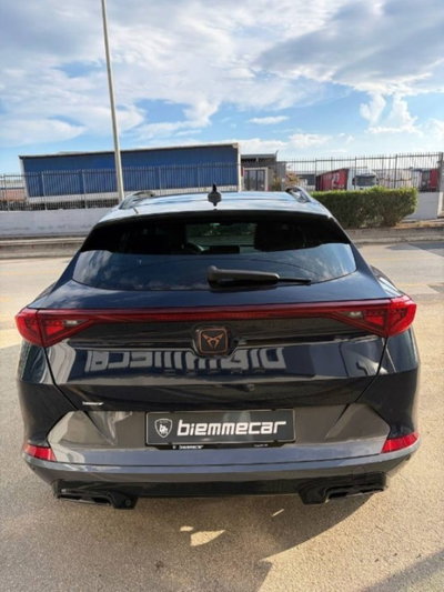 Cupra Formentor Formentor 2.0 TDI (7)