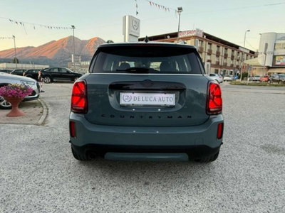 MINI Mini Countryman 1.5 Cooper Untamed Edition Countryman (7)