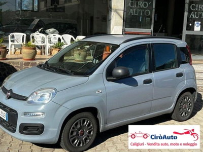 Fiat Panda 1.2 Lounge usata