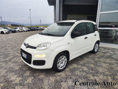 Fiat Panda 1.2 Lounge usata