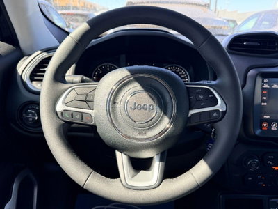 Jeep Renegade 1.6 mjt Limited 2wd 130cv (20)