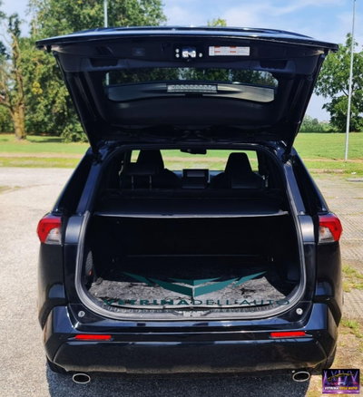Toyota Rav4 HV (218CV) E-CVT 2WD Lounge (10)