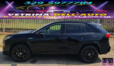 Toyota Rav4 HV (218CV) E-CVT 2WD Lounge (14)