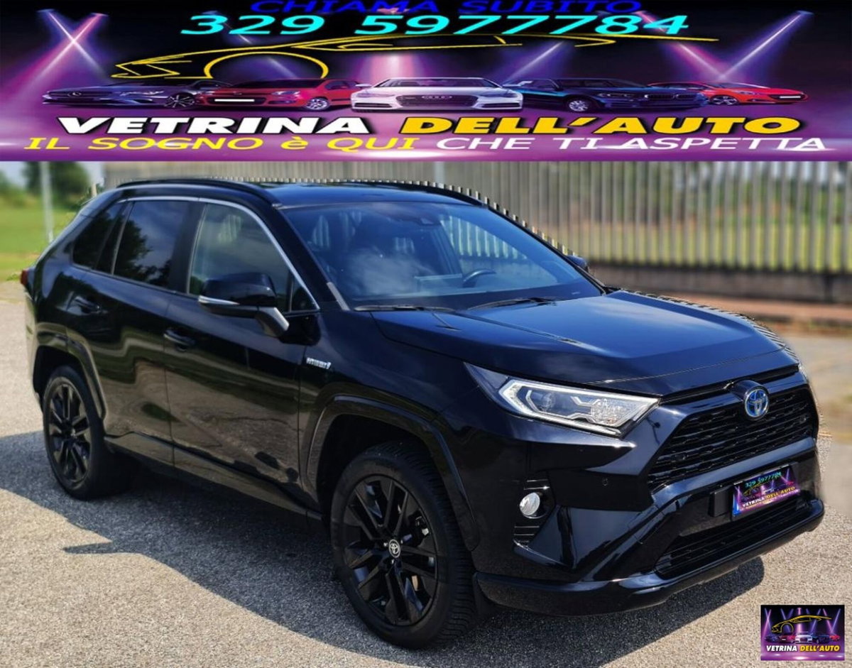 Toyota Rav4 HV (218CV) E-CVT 2WD Lounge (3)
