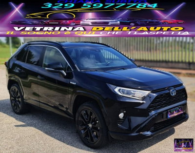 Toyota Rav4 HV (218CV) E-CVT 2WD Lounge (3)