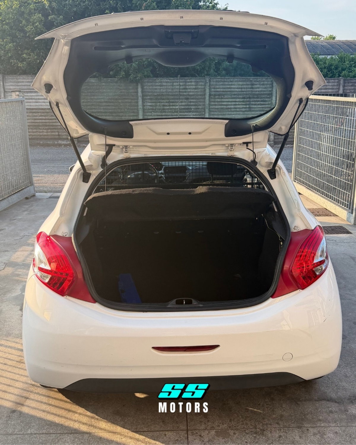 Peugeot 208 HDi 68 CV 5 porte Van (12)