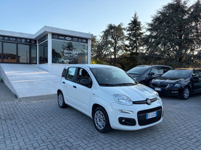 Fiat Panda Cross Cross 1.0 FireFly S&S Hybrid (5)