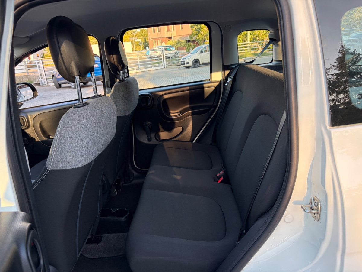 Fiat Panda Cross Cross 1.0 FireFly S&S Hybrid (6)