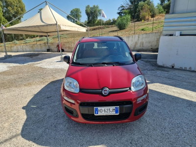Fiat Panda 0.9 TwinAir Turbo S&S Easy usata