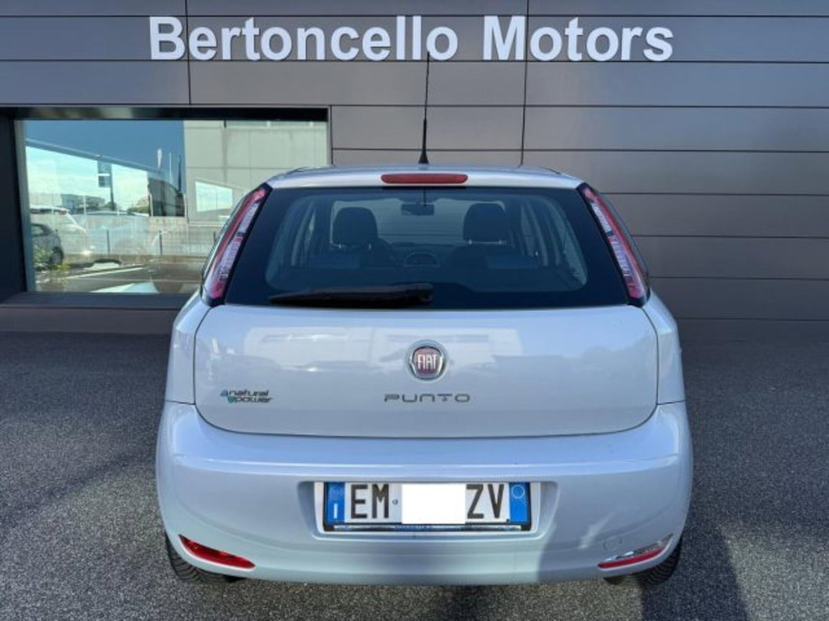 Fiat Punto Evo 1.2 5 porte S&S Dynamic (5)