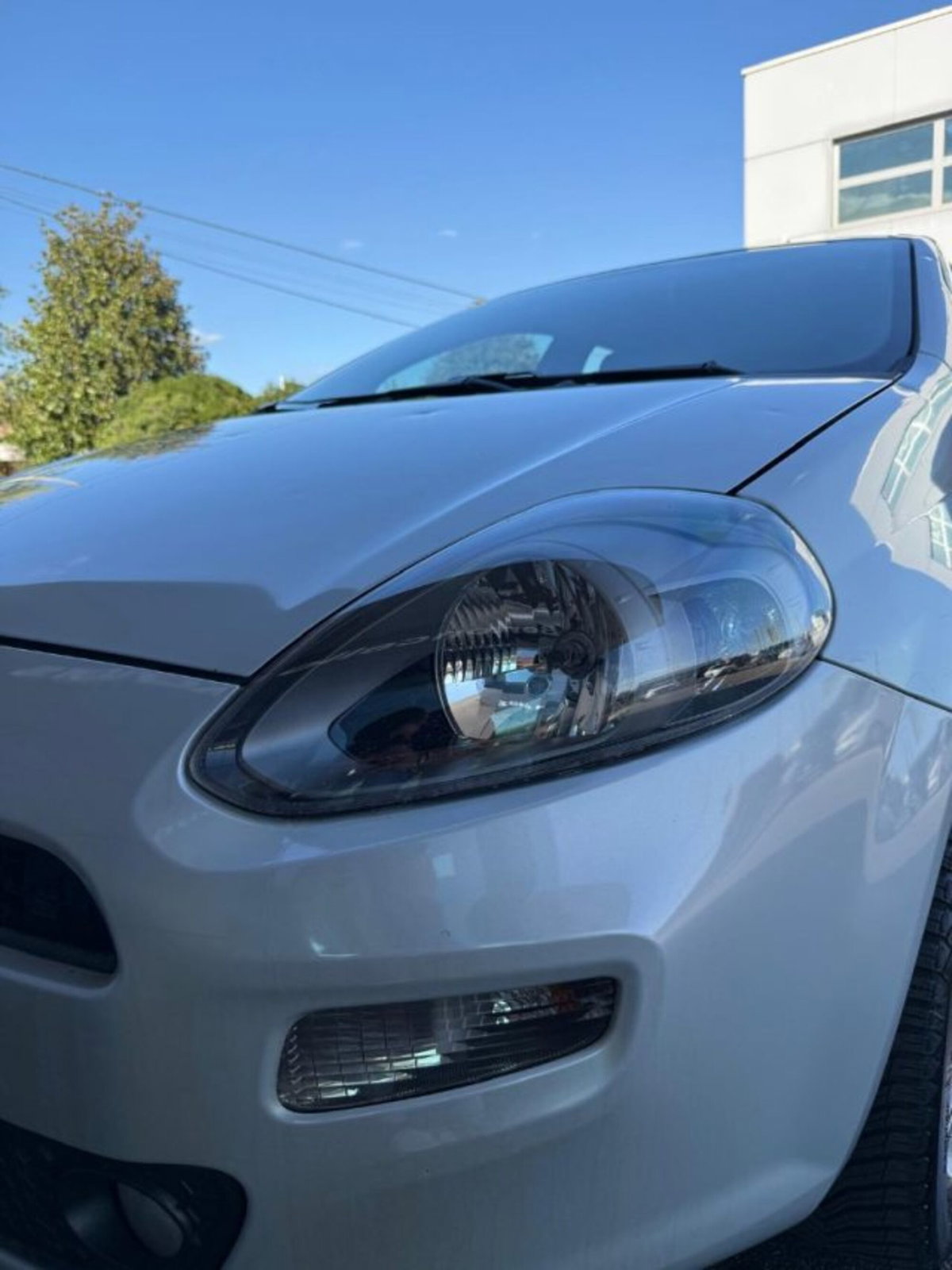 Fiat Punto Evo 1.2 5 porte S&S Dynamic (7)
