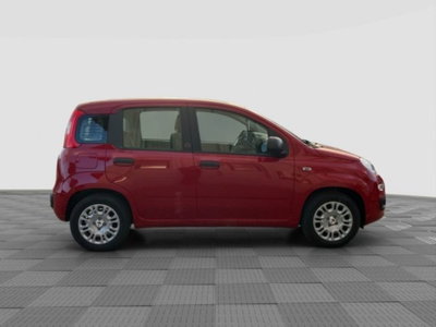 Fiat Pandina 1.0 firefly hybrid Icon s&s 65cv (5)