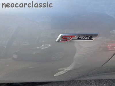 Ford Fiesta 1.5 EcoBlue 5 porte ST-Line (12)