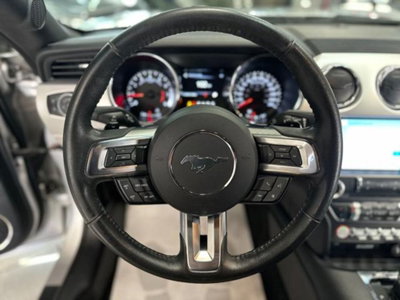 Ford Mustang Coupé Fastback 2.3 EcoBoost aut. (19)