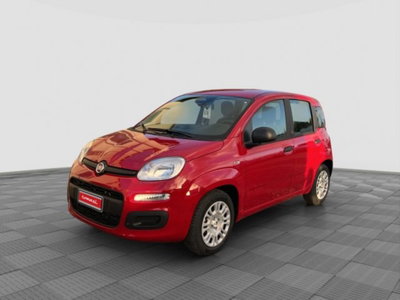Fiat Pandina 1.0 firefly hybrid Icon s&s 65cv nuova
