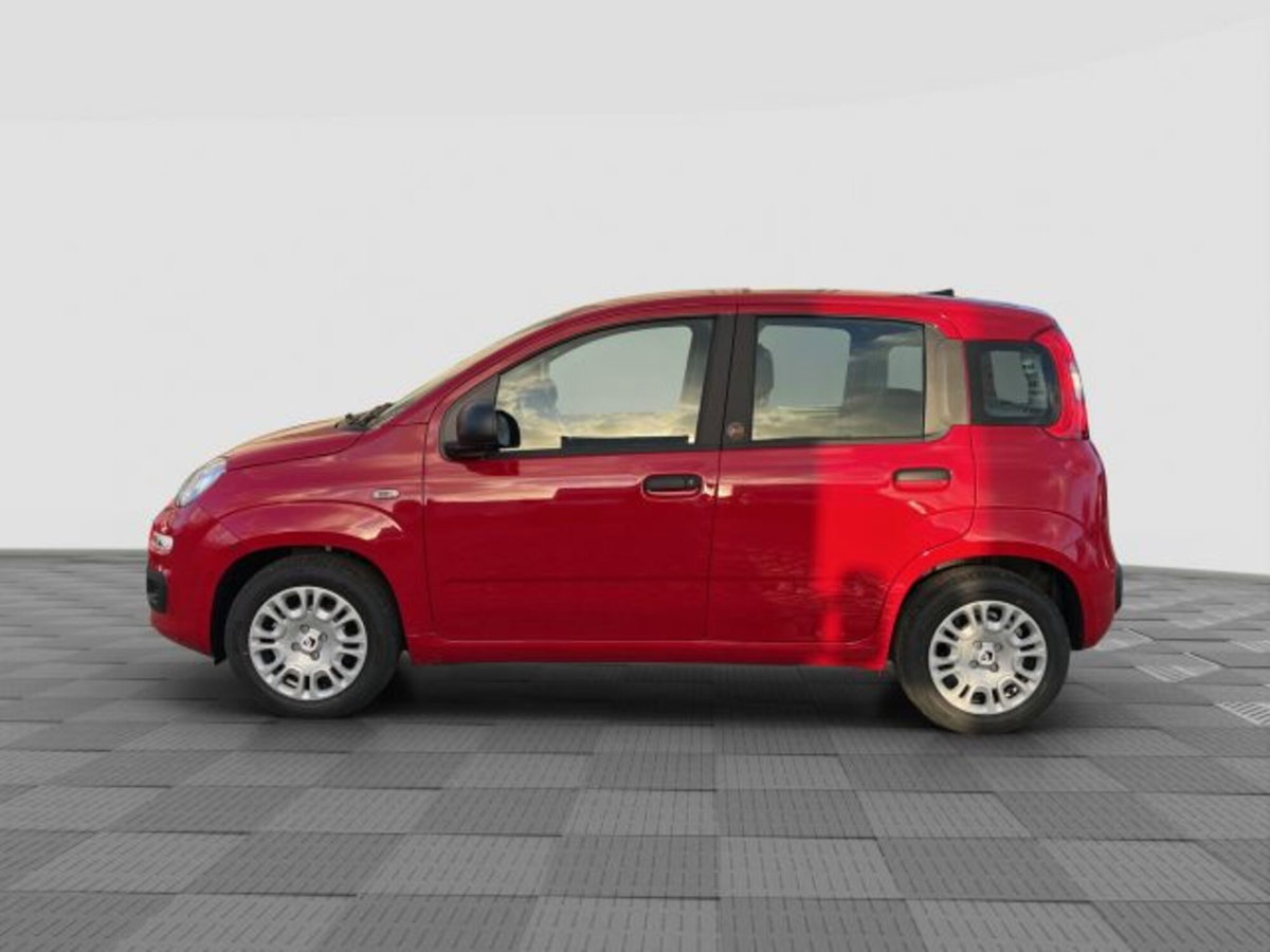 Fiat Pandina 1.0 firefly hybrid Icon s&s 65cv (2)