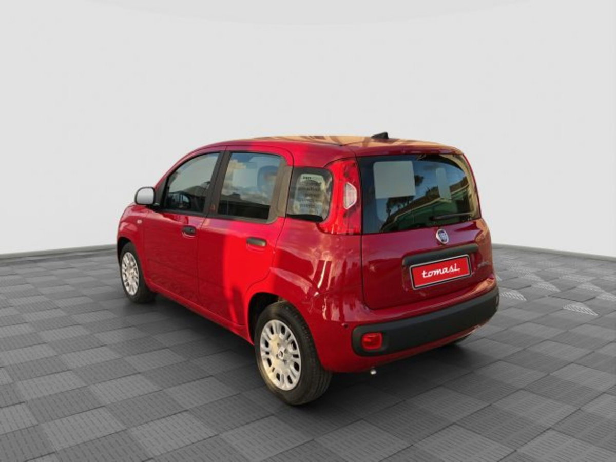 Fiat Pandina 1.0 firefly hybrid Icon s&s 65cv (3)