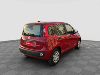 Fiat Pandina 1.0 firefly hybrid Icon s&s 65cv (4)