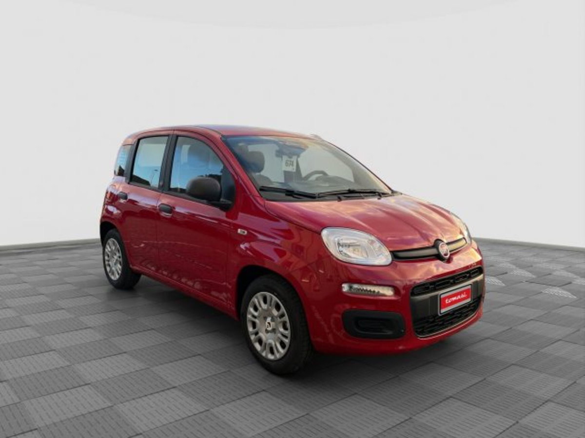 Fiat Pandina 1.0 firefly hybrid Icon s&s 65cv (6)