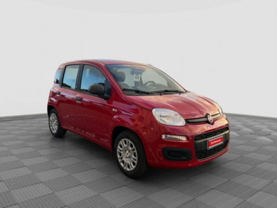 Fiat Pandina 1.0 firefly hybrid Icon s&s 65cv (6)