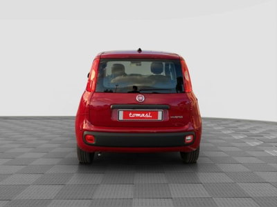 Fiat Pandina 1.0 firefly hybrid Icon s&s 65cv (8)