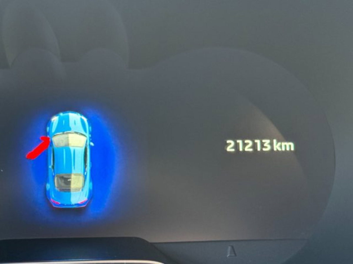 Alpine A110 A110 (8)