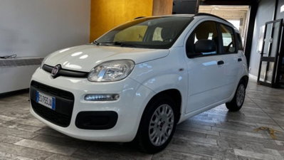 Fiat Panda 1.3 MJT S&S Pop usata