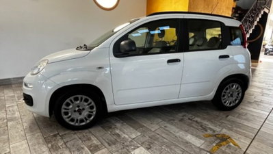 Fiat Panda 1.3 MJT S&S Pop (3)
