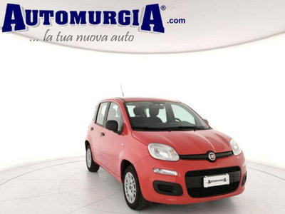 Fiat Panda 1.2 Easy usata
