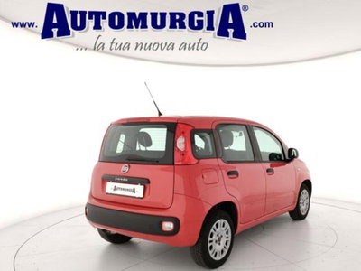 Fiat Panda 1.2 Easy (4)