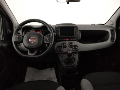 Fiat Panda 1.0 firefly hybrid s&s 70cv 5p.ti (7)