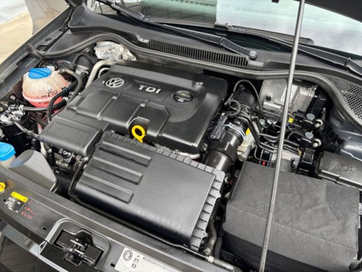 Volkswagen Polo Cross 1.4 TDI BlueMotion Technology (20)