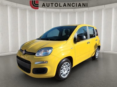 Fiat Panda 1.0 firefly hybrid s&s 70cv 5p.ti nuova
