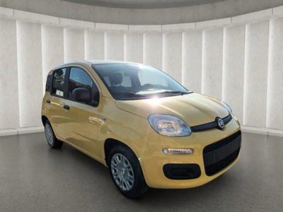 Fiat Panda 1.0 firefly hybrid s&s 70cv 5p.ti (3)