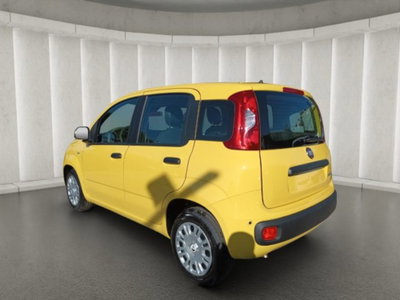 Fiat Panda 1.0 firefly hybrid s&s 70cv 5p.ti (4)