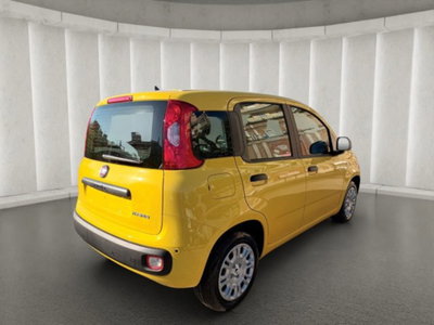 Fiat Panda 1.0 firefly hybrid s&s 70cv 5p.ti (5)