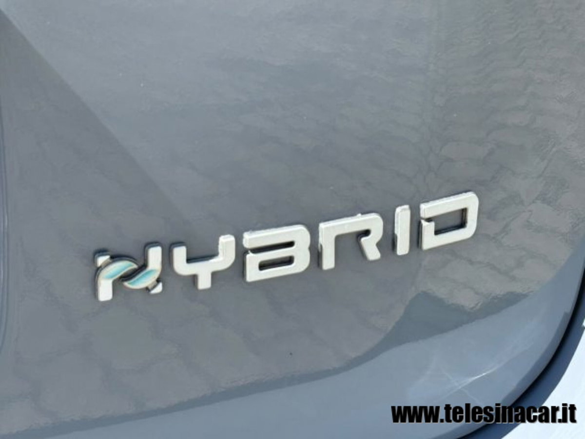 Fiat Panda Cross 1.0 firefly hybrid Cross s&s 70cv 5p.ti (10)