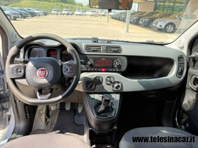 Fiat Panda Cross 1.0 firefly hybrid Cross s&s 70cv 5p.ti (11)