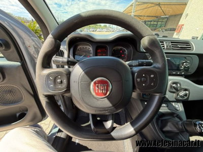 Fiat Panda Cross 1.0 firefly hybrid Cross s&s 70cv 5p.ti (14)