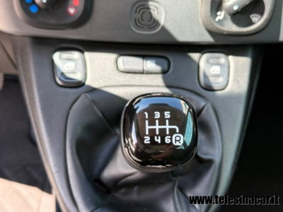 Fiat Panda Cross 1.0 firefly hybrid Cross s&s 70cv 5p.ti (16)