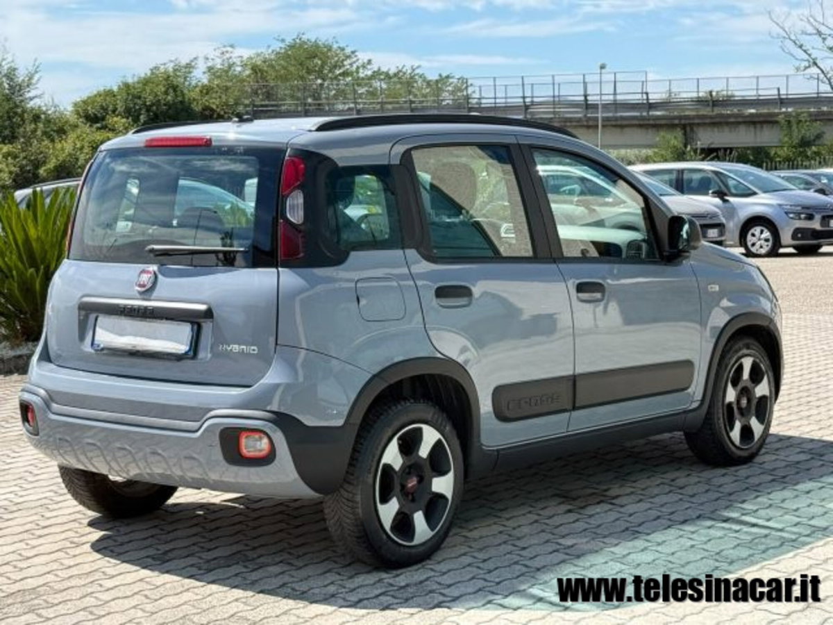 Fiat Panda Cross 1.0 firefly hybrid Cross s&s 70cv 5p.ti (6)